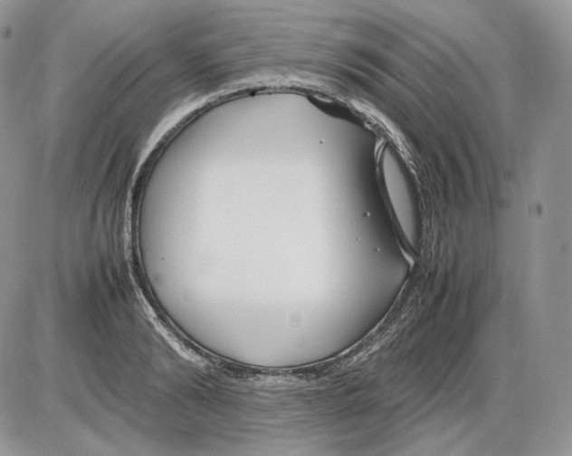 X0000086080894200704202148