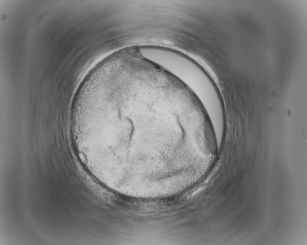 X0000086080895200704202148