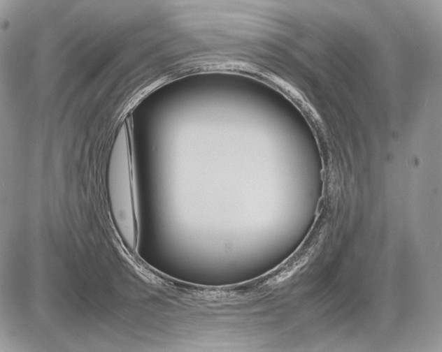 X0000086080897200704202148