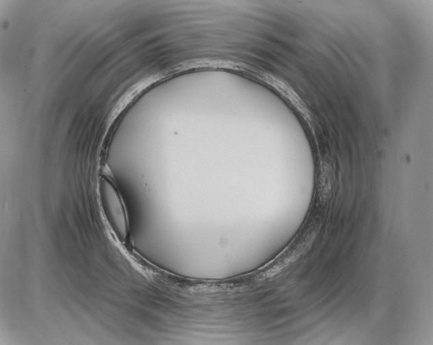 X0000086080898200704202148