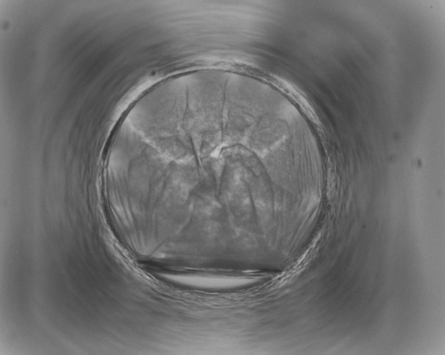 X0000086080899200704202148