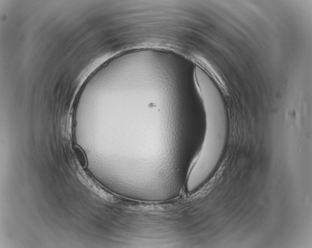 X0000086080900200704202148