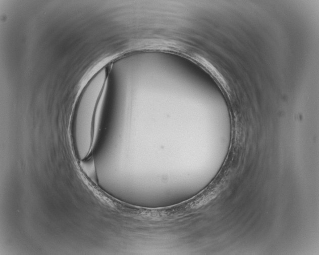 X0000086080901200704202148