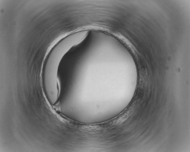 X0000086080902200704202148