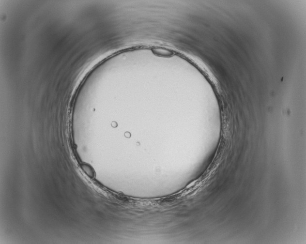 X0000086080903200704202148