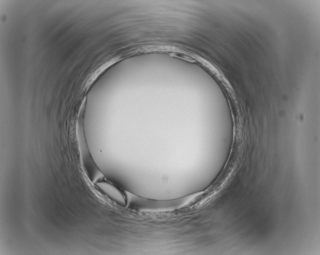 X0000086080905200704202148