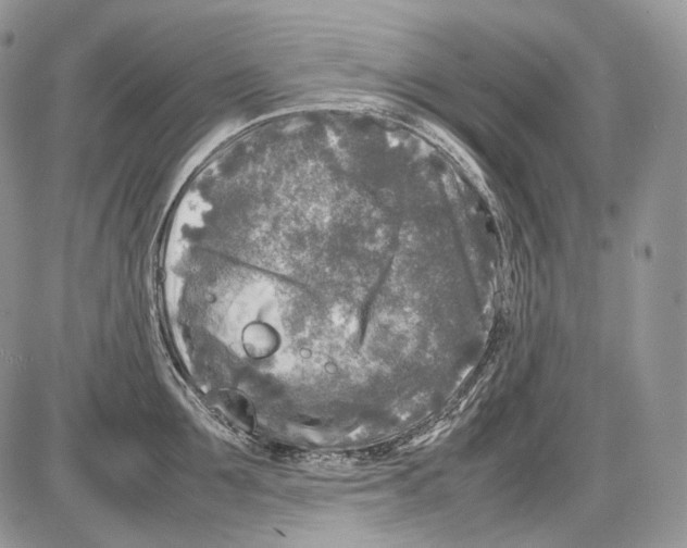 X0000086080907200704202148