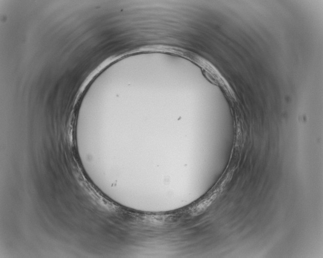 X0000086080908200704202148