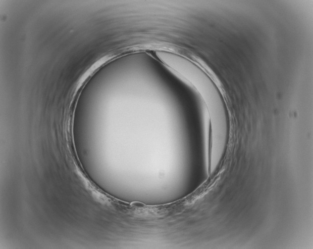 X0000086080909200704202148