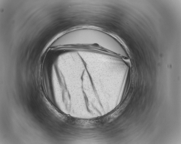 X0000086080910200704202148