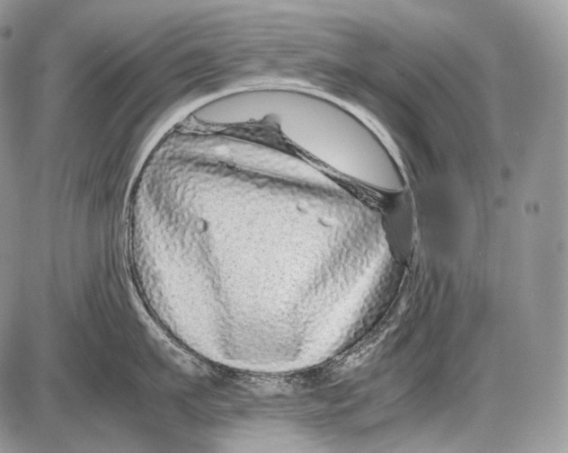 X0000086080911200704202148