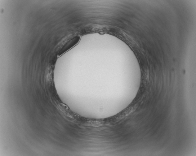 X0000086080914200704202147