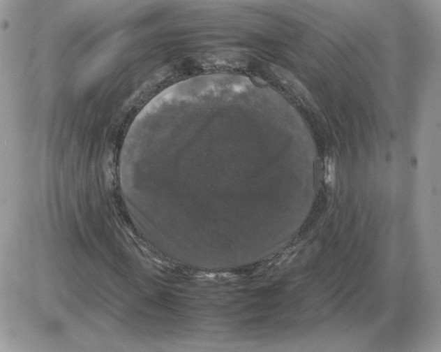 X0000086080915200704202147