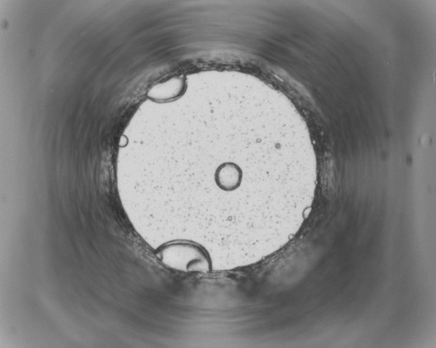 X0000086080918200704202147