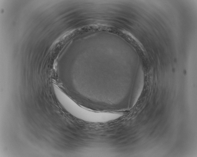 X0000086080919200704202147