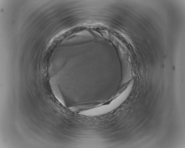 X0000086080920200704202147