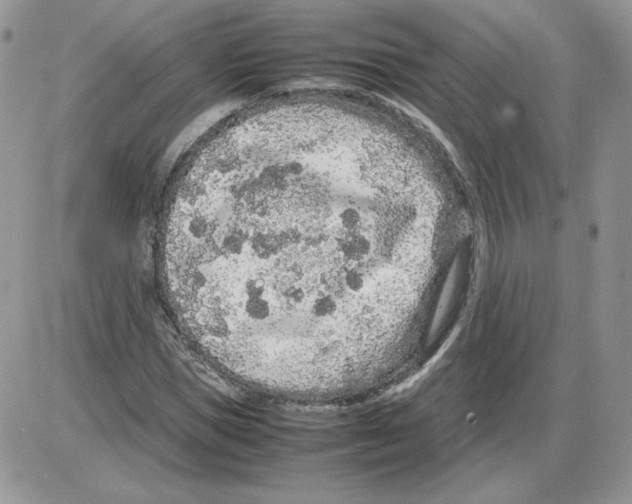 X0000086080921200704202147