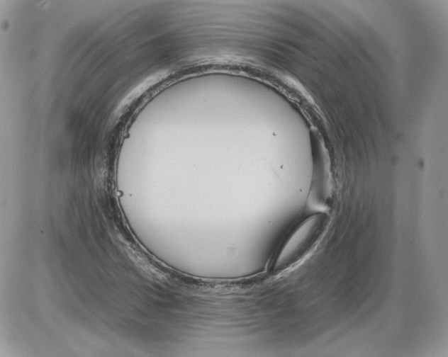 X0000086080922200704202147