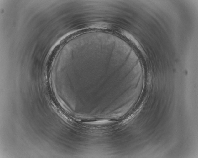 X0000086080923200704202147