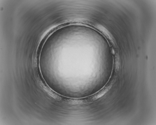 X0000086080924200704202147