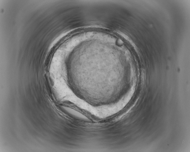 X0000086080925200704202147