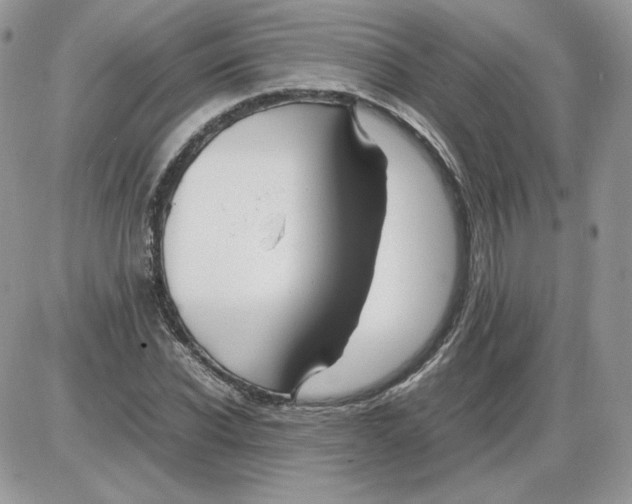 X0000086080926200704202147