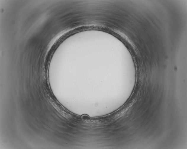 X0000086080927200704202147