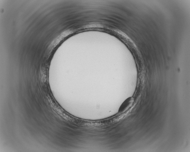 X0000086080929200704202147