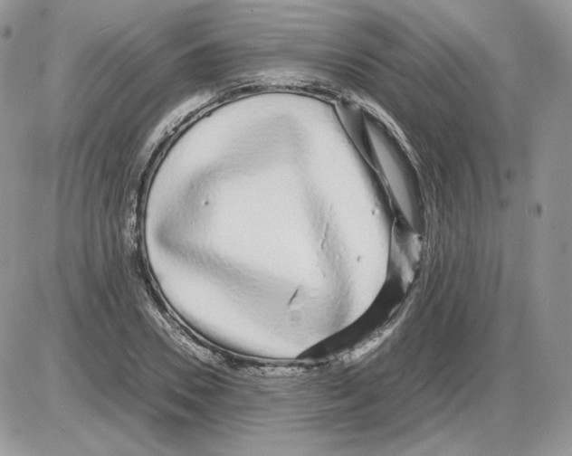 X0000086080930200704202147