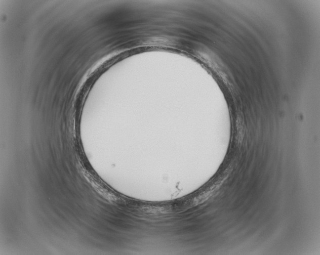 X0000086080931200704202147