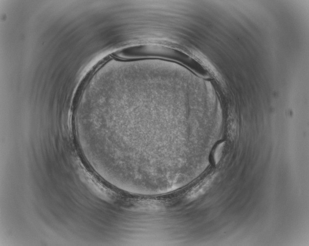 X0000086080932200704202147