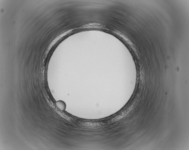 X0000086080933200704202147