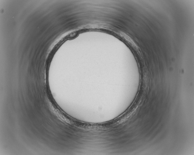 X0000086080934200704202147