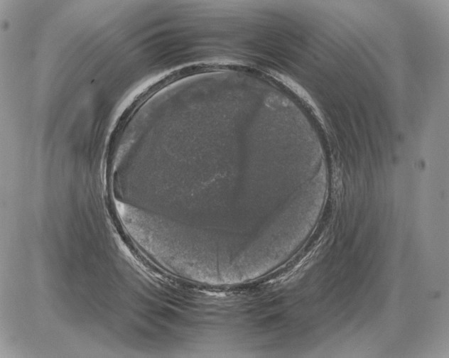 X0000086080935200704202147