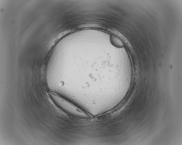 X0000086080937200704202147