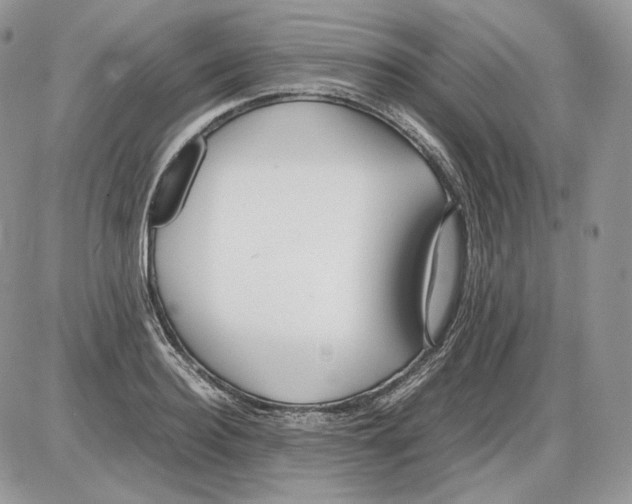 X0000086080940200704202148