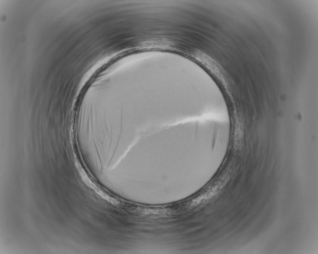 X0000086080941200704202148