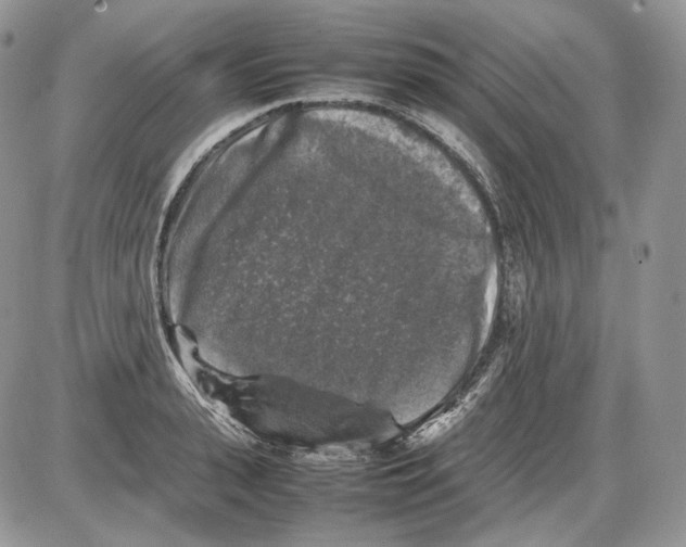 X0000086080943200704202148