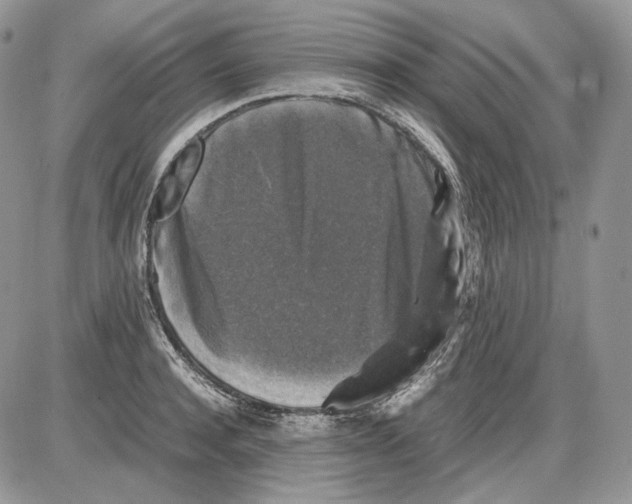 X0000086080944200704202148