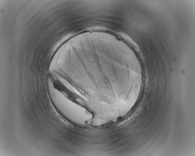 X0000086080945200704202148