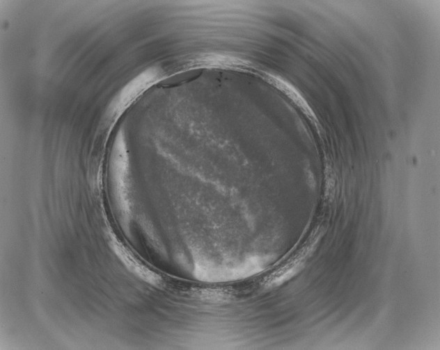 X0000086080946200704202148