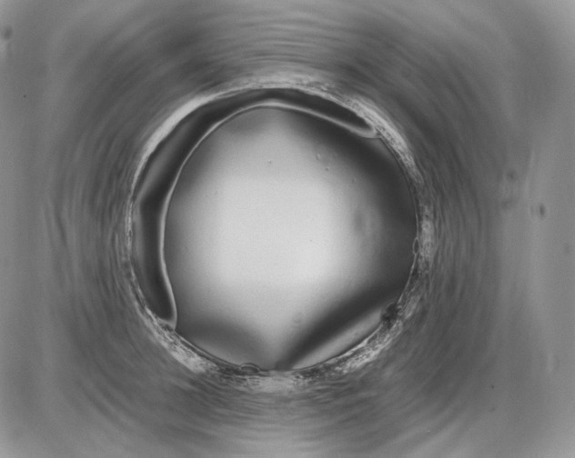 X0000086080948200704202148