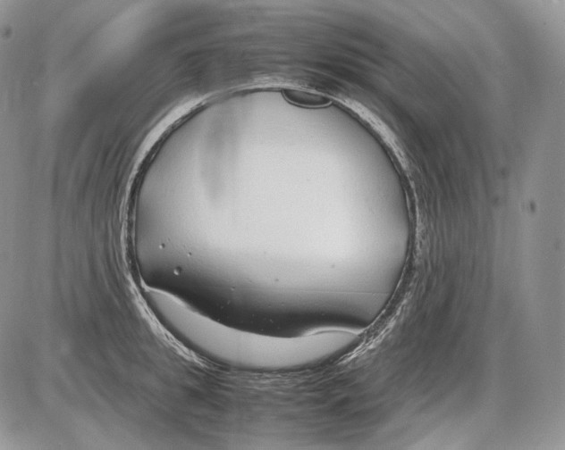 X0000086080949200704202148