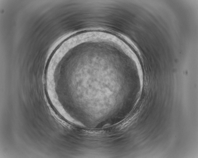 X0000086080951200704202148