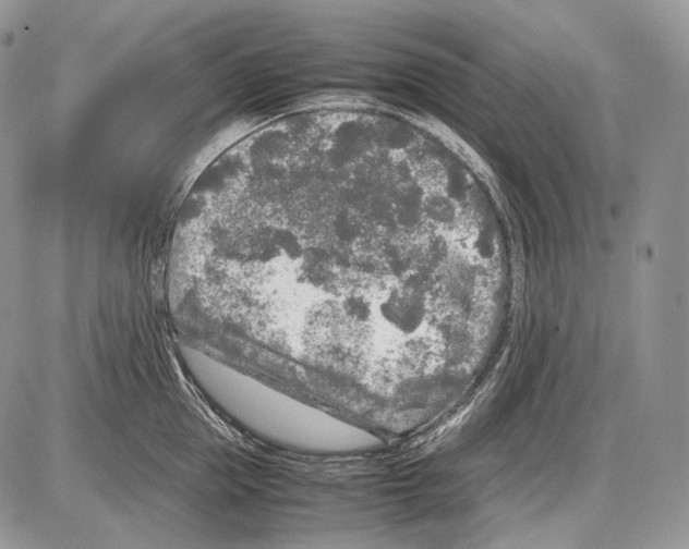 X0000086080953200704202148