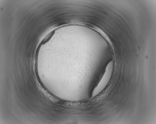 X0000086080955200704202148