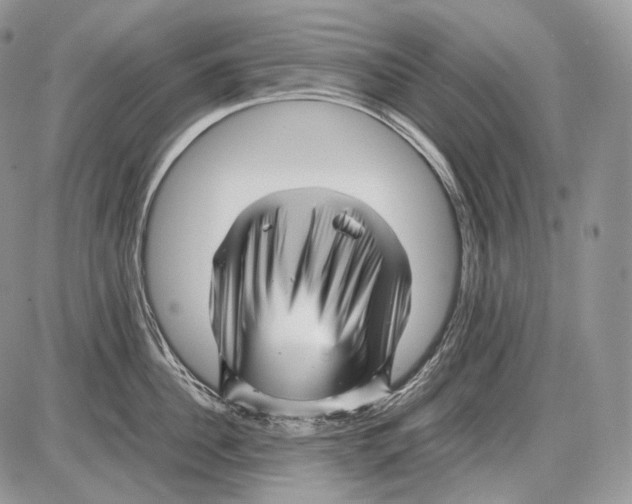 X0000086080956200704202148