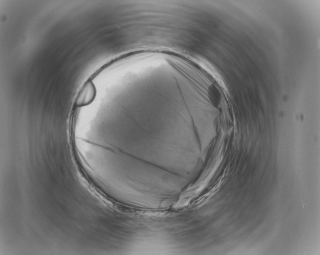 X0000086080958200704202148