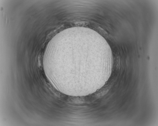 X0000086080962200704202147