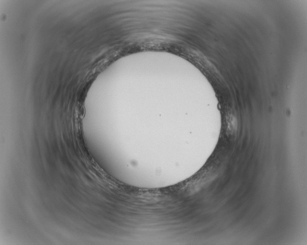 X0000086080964200704202147